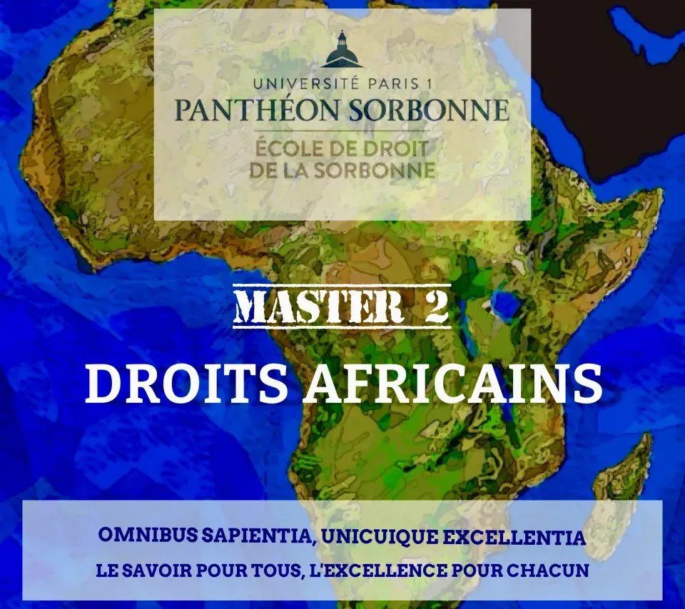 Logo du M2 Droits africains